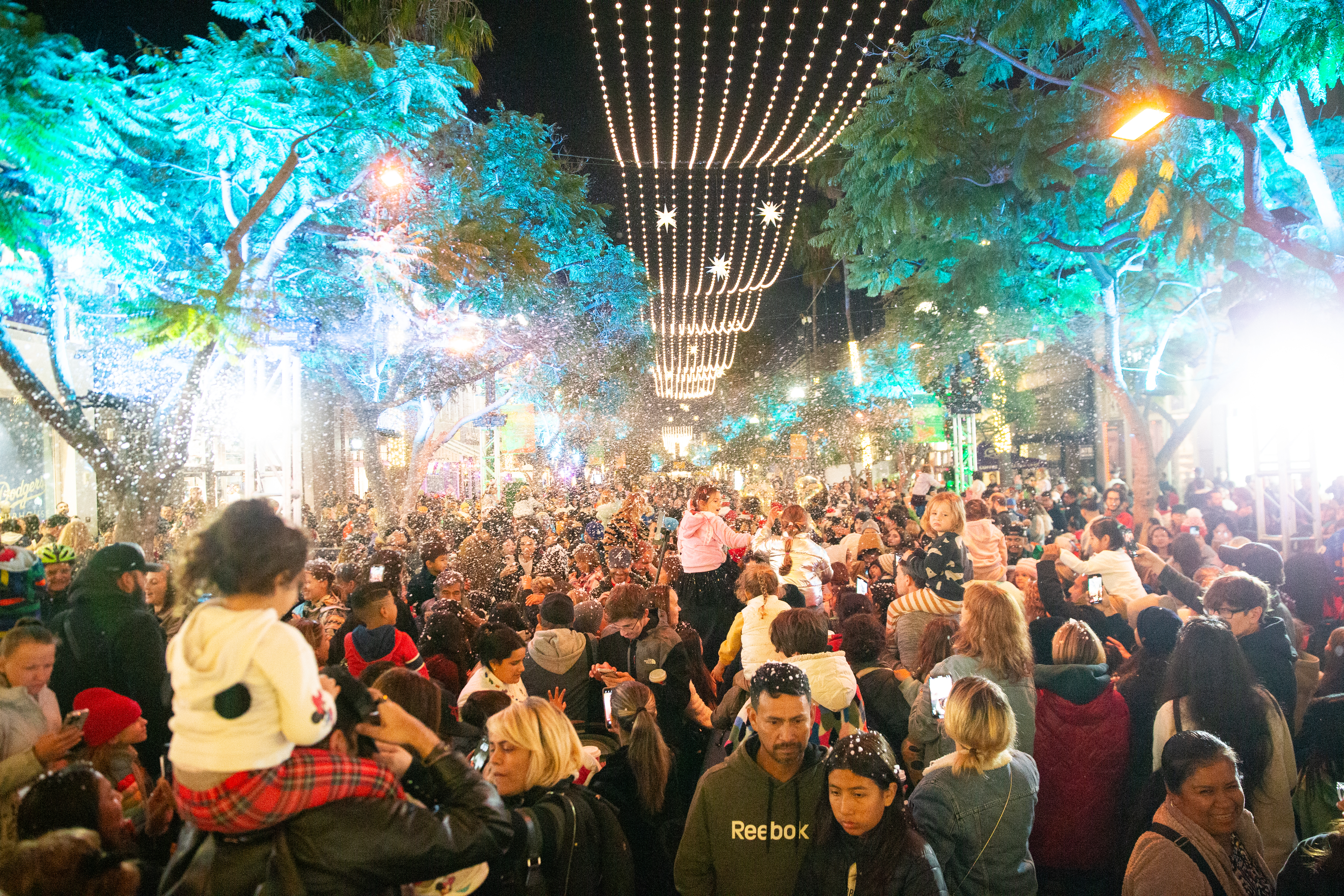 Official City of Santa Monica Tree Lighting